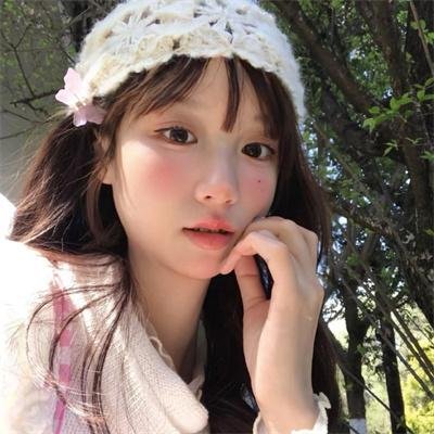 太阳花