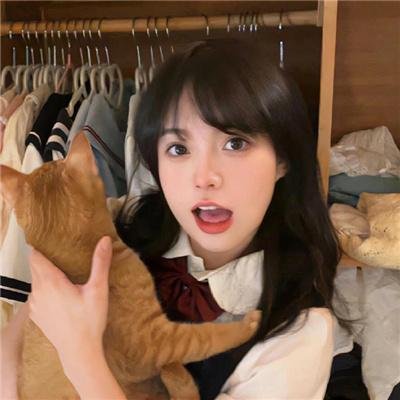 蛋黄哥大冒险